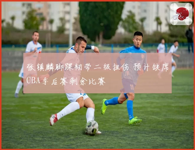张镇麟脚踝韧带二级扭伤 预计缺席CBA季后赛剩余比赛