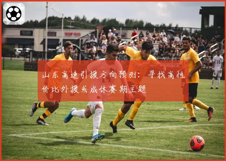 山东高速引援方向预测：寻找高性价比外援或成休赛期主题