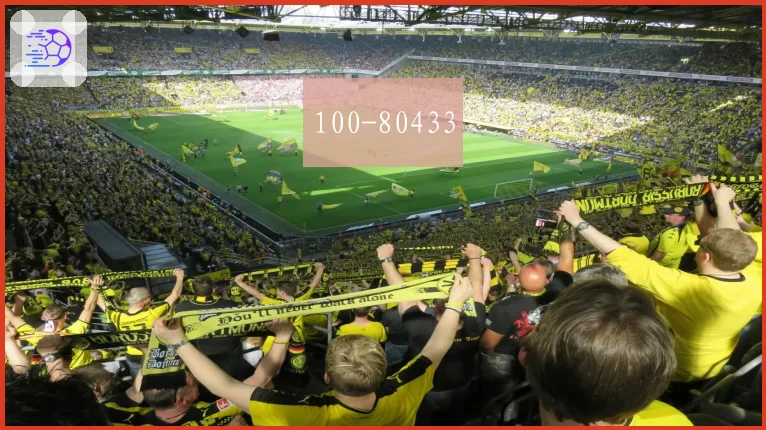 100-80433