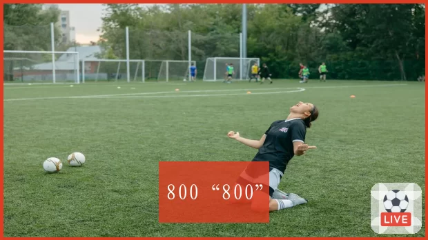 800“800”