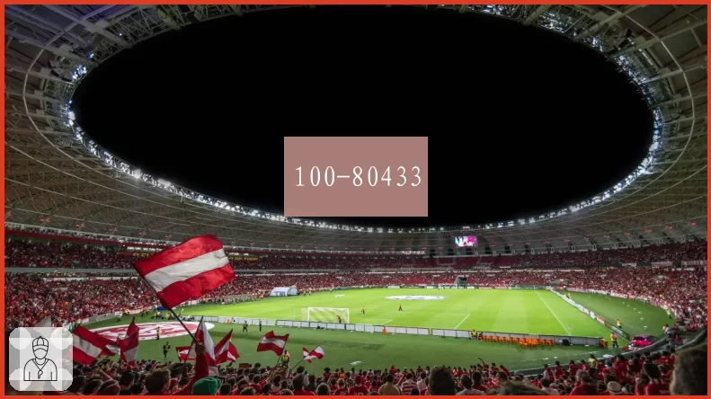100-80433